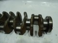DSC04545.JPG