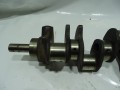 DSC04556.JPG
