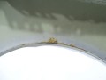 DSC03419.JPG