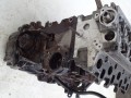 DSC05832.JPG