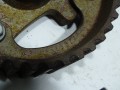 DSC04880.JPG