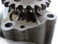 DSC04906.JPG