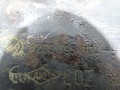DSC05072.JPG