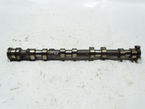 DSC05490.JPG