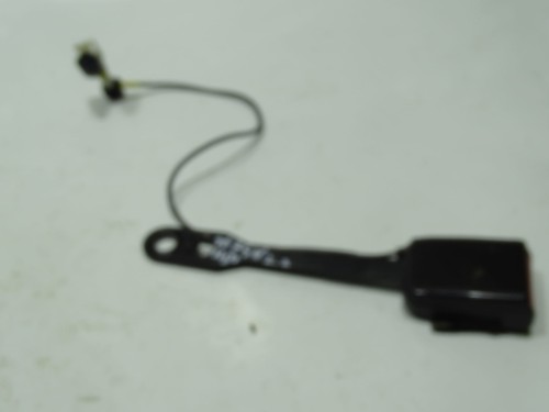 DSC03817.JPG
