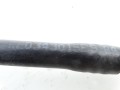DSC08352.JPG