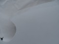 DSC00916.JPG