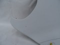 DSC00917.JPG