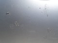 DSC02840.JPG