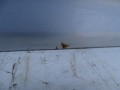 DSC03184.JPG