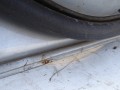 DSC03188.JPG