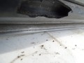 DSC03217.JPG