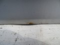 DSC03255.JPG