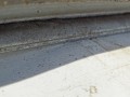 DSC03610.JPG