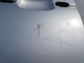DSC03731.JPG