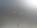 DSC03784.JPG