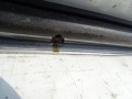 DSC04199.JPG