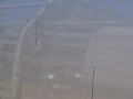 DSC04412.JPG