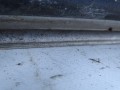 DSC04502.JPG