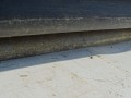 DSC05082.JPG