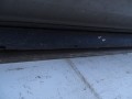 DSC06419.JPG