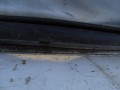 DSC06981.JPG