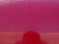 DSC07010.JPG
