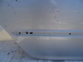 DSC07109.JPG