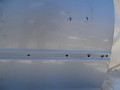 DSC07110.JPG