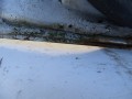 DSC07229.JPG