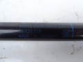 DSC08098.JPG