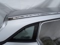 DSC08895.JPG