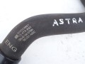 DSC08345.JPG