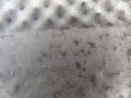DSC08394.JPG