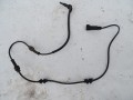 DSC08595.JPG