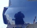 DSC07582.JPG