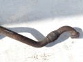 DSC09862.JPG