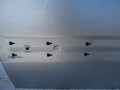 DSC09898.JPG