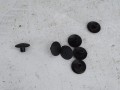DSC00187.JPG