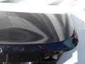 DSC01644.JPG
