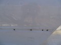 DSC01800.JPG