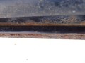 DSC01900.JPG