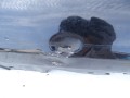 DSC02609.JPG