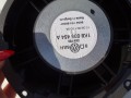 DSC03204.JPG