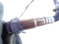 DSC03708.JPG