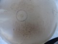 DSC03733.JPG