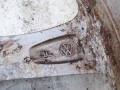 DSC04318.JPG