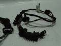 DSC00453.JPG