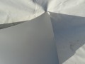 DSC08999.JPG