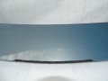 DSC05761.JPG